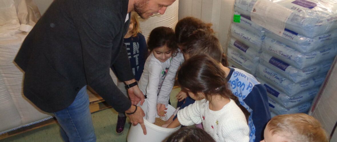 KIGA Augarten und die Geschichte vom Senf KIGA Augarten und die Geschichte vom Senf