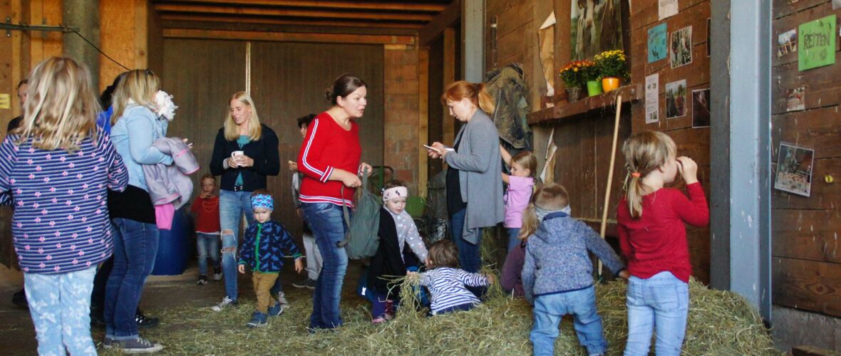 "Tag der offenen Stalltüren" im Ried "Tag der offenen Stalltüren" im Ried