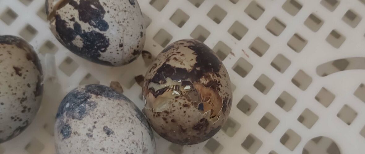 20220511_080402 20220511_080402