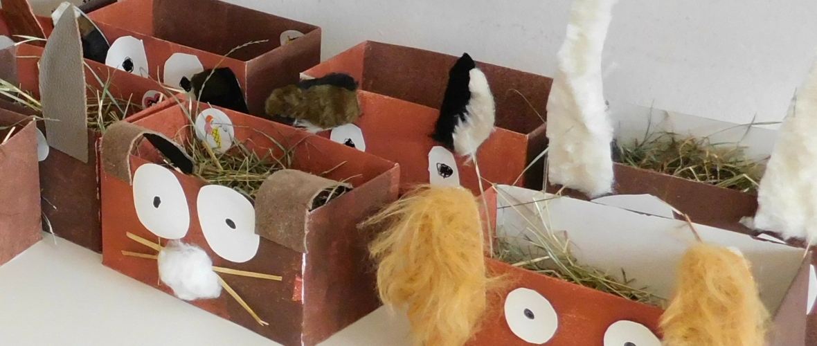 KIGA Wiesenrain: Schau mal Osterhase KIGA Wiesenrain: Schau mal Osterhase