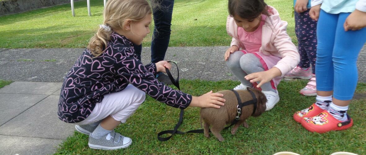 KIGA Augarten: Die kleine OJAD-Farm KIGA Augarten: Die kleine OJAD-Farm