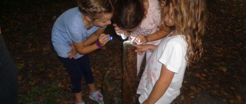 KIGA Augarten: Abenteuerabend KIGA Augarten: Abenteuerabend