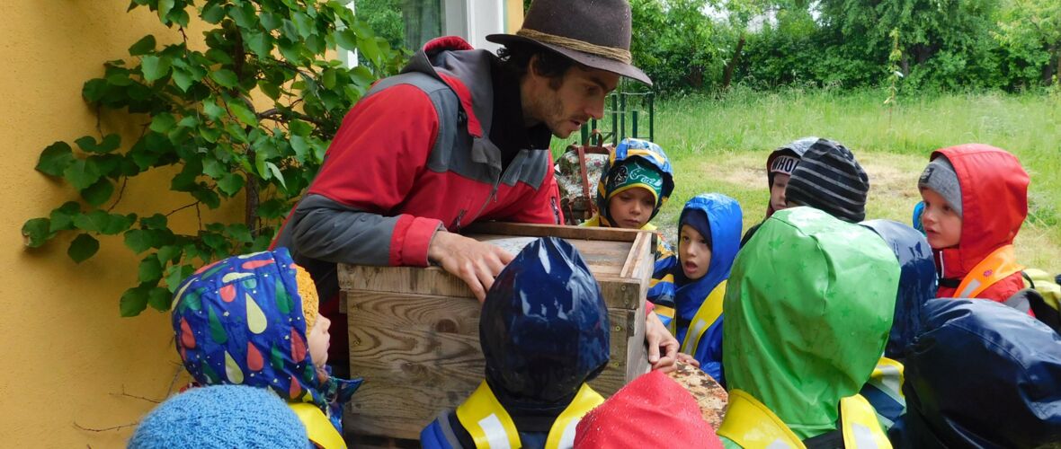 KIGA Wiesenrain: Summ, summ, summ.... KIGA Wiesenrain: Summ, summ, summ....