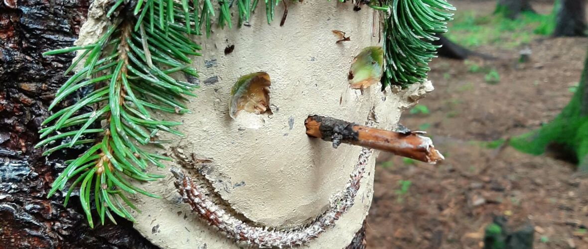 Riedkindergarten erlebt wunderbare Waldwochen Riedkindergarten erlebt wunderbare Waldwochen