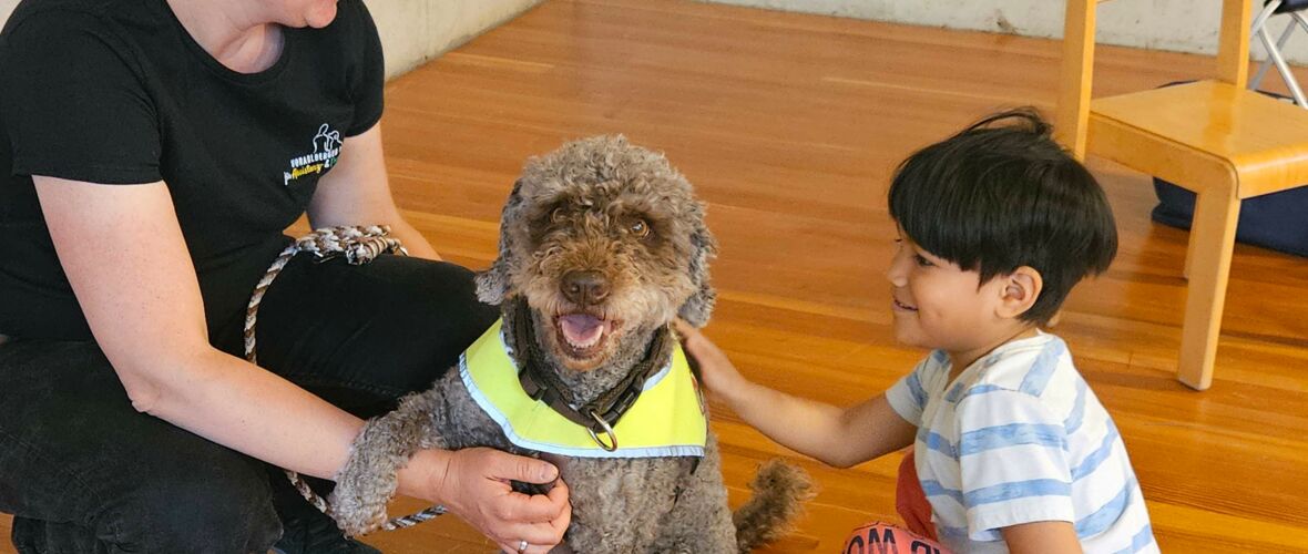 KIGA Rosenlächer: Hunde sicher verstehen KIGA Rosenlächer: Hunde sicher verstehen