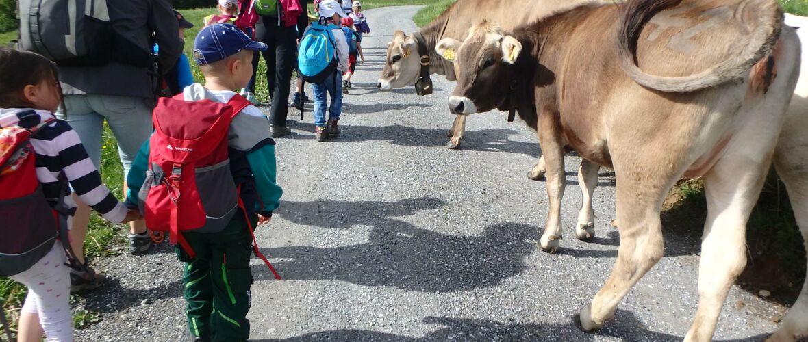 Riedkindi ist uf da Alpa doba Riedkindi ist uf da Alpa doba