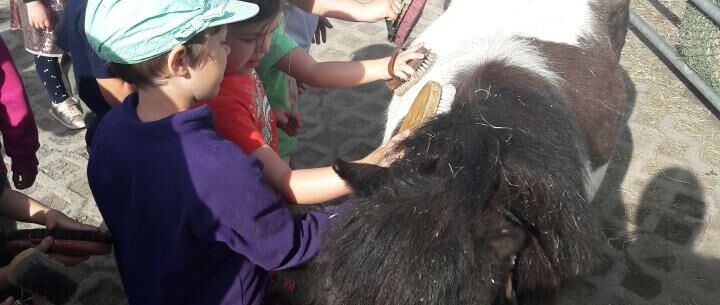 KIGA Am Schlatt: Bauernhofrallye KIGA Am Schlatt: Bauernhofrallye