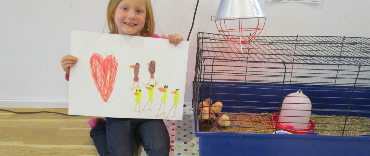 KIGA Brändle: Vom Ei zum Huhn KIGA Brändle: Vom Ei zum Huhn
