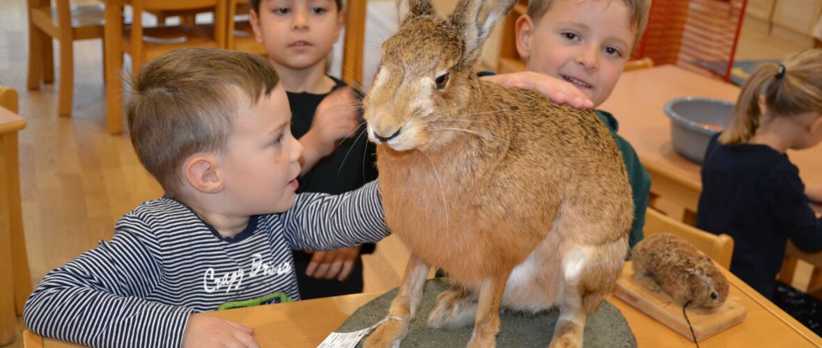 KIGA Brändle: Tierisch was los KIGA Brändle: Tierisch was los
