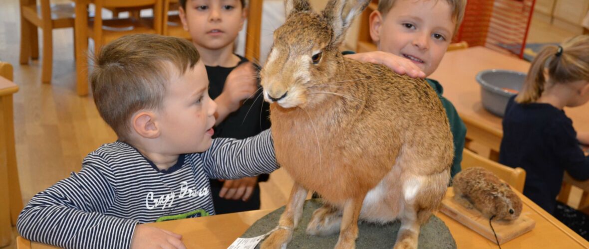 KIGA Brändle: Tierisch was los