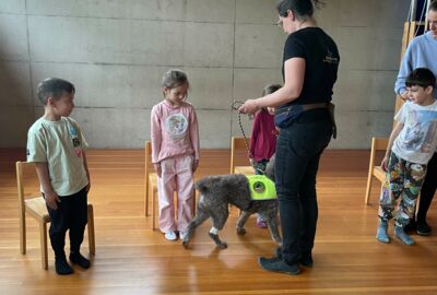 KIGA Rosenlächer: Hunde sicher verstehen KIGA Rosenlächer: Hunde sicher verstehen