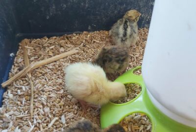 20220517_092722 20220517_092722