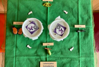 KIGA Rheindorf: Eine wunderbare Beobachtung KIGA Rheindorf: Eine wunderbare Beobachtung