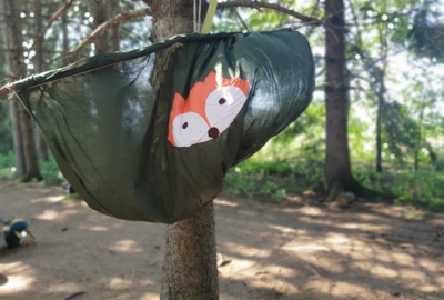 Riedfüchse gehen in die Waldschule