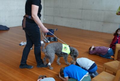 KIGA Rosenlächer: Hunde sicher verstehen KIGA Rosenlächer: Hunde sicher verstehen