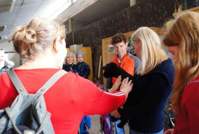 "Tag der offenen Stalltüren" im Ried "Tag der offenen Stalltüren" im Ried