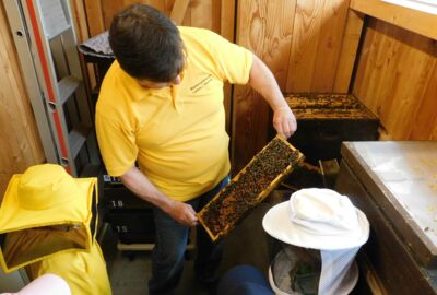 KIGA Wiesenrain: Es brummt und summt im Bienenstock KIGA Wiesenrain: Es brummt und summt im Bienenstock