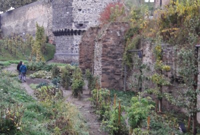 Die "Essbare Stadt" Andernach