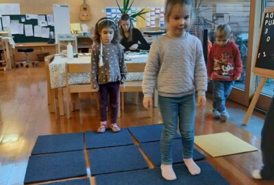 KG Rosenlächer Magnetismus3