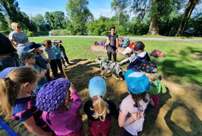 Riedkindergarten sucht nach Biberspuren Riedkindergarten sucht nach Biberspuren