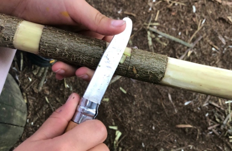 Riedfüchse gehen in die Waldschule