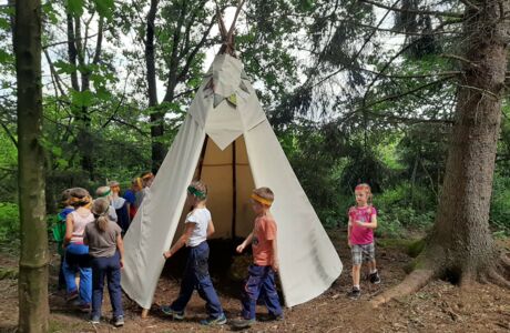Riedkindergarten erlebt wunderbare Waldwochen Riedkindergarten erlebt wunderbare Waldwochen