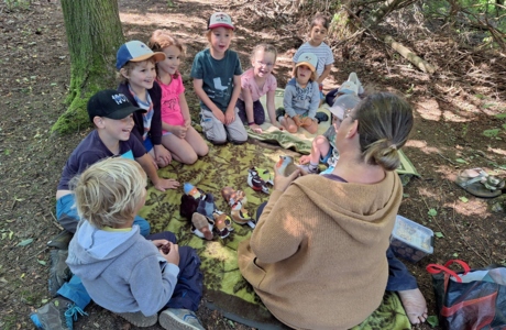 Riedfüchse gehen in die Waldschule