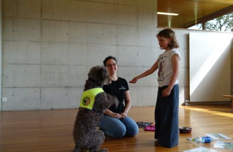 KIGA Rosenlächer: Hunde sicher verstehen KIGA Rosenlächer: Hunde sicher verstehen