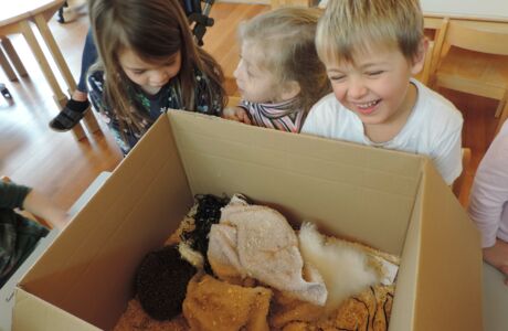 KIGA Rosenlächer: Unser Igel Ingo KIGA Rosenlächer: Unser Igel Ingo