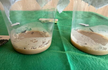 KIGA Rheindorf: Eine wunderbare Beobachtung KIGA Rheindorf: Eine wunderbare Beobachtung