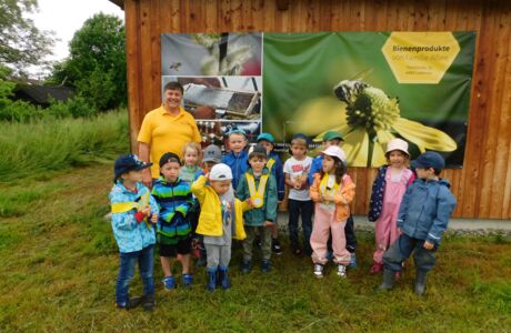 KIGA Wiesenrain: Es brummt und summt im Bienenstock