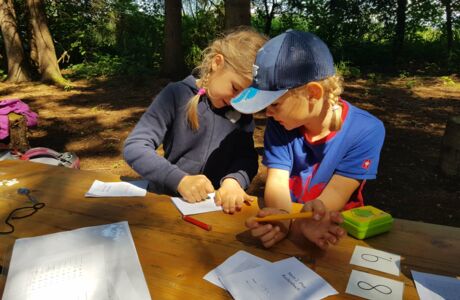Riedkindergarten erlebt wunderbare Waldwochen Riedkindergarten erlebt wunderbare Waldwochen