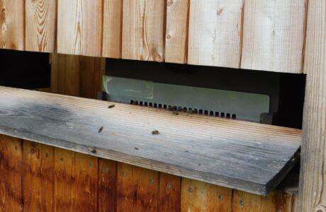 KIGA Wiesenrain: Es brummt und summt im Bienenstock KIGA Wiesenrain: Es brummt und summt im Bienenstock