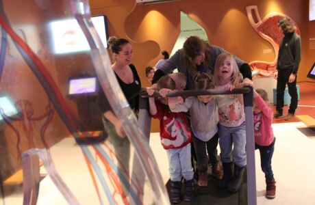 KIGA Rosenlächer: Die "flotten Libellen" sind auch im Winter sehr aktiv KIGA Rosenlächer: Die "flotten Libellen" sind auch im Winter sehr aktiv