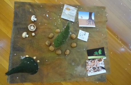 KIGA Rosenlächer: Pilzprojekt KIGA Rosenlächer: Pilzprojekt