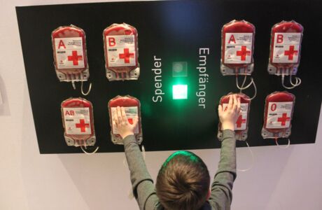 KIGA Rosenlächer: Die "flotten Libellen" sind auch im Winter sehr aktiv KIGA Rosenlächer: Die "flotten Libellen" sind auch im Winter sehr aktiv