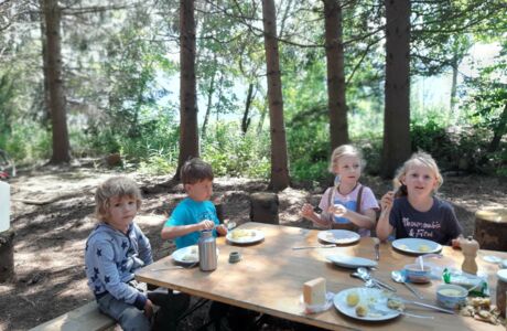 Riedkindergarten erlebt wunderbare Waldwochen Riedkindergarten erlebt wunderbare Waldwochen