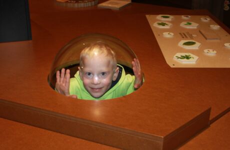 KIGA Rosenlächer: Die "flotten Libellen" sind auch im Winter sehr aktiv KIGA Rosenlächer: Die "flotten Libellen" sind auch im Winter sehr aktiv