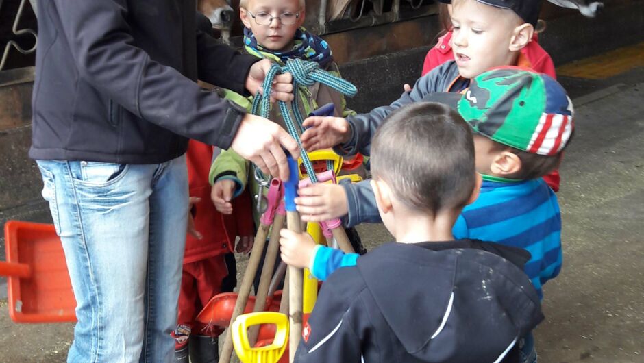 Riedkindi im Maisfieber Riedkindi im Maisfieber