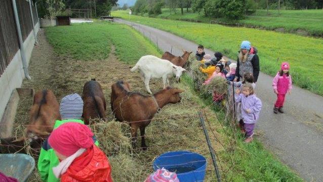 KIGA Hasenfeld: Auf die Berufe fertig los - Die Bäuerin KIGA Hasenfeld: Auf die Berufe fertig los - Die Bäuerin
