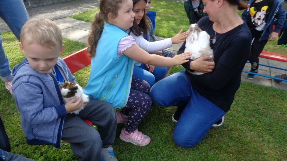 KIGA Augarten: Die kleine OJAD-Farm KIGA Augarten: Die kleine OJAD-Farm