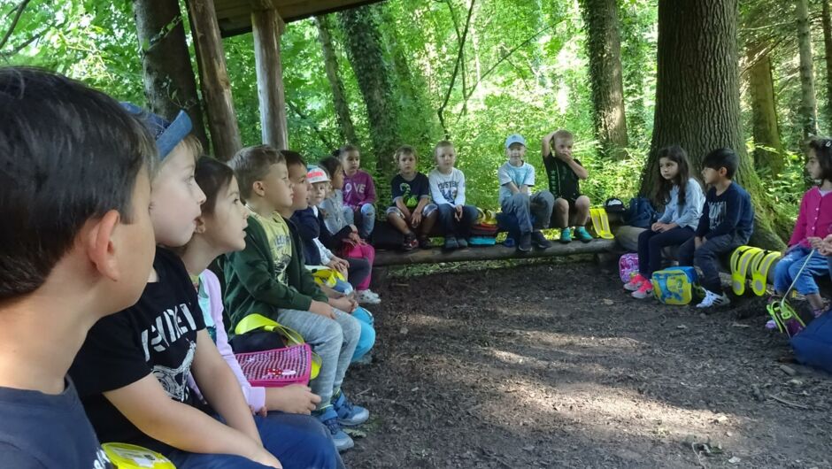 KIGA Rosenlächer: Waldwoche KIGA Rosenlächer: Waldwoche