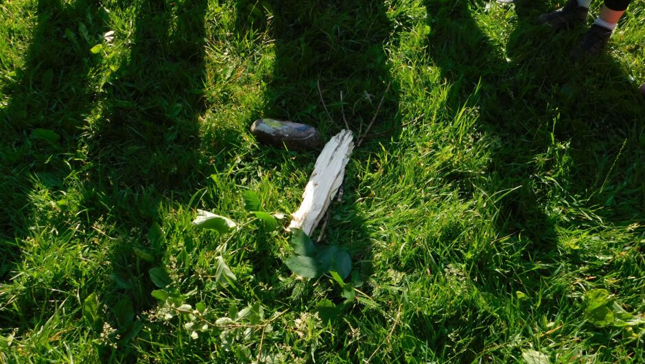 KIGA Wiesenrain: Es duftet in Wald und Feld KIGA Wiesenrain: Es duftet in Wald und Feld