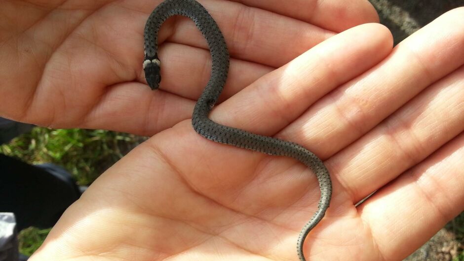 KIGA Wiesenrain beim ersten Ausflug KIGA Wiesenrain beim ersten Ausflug