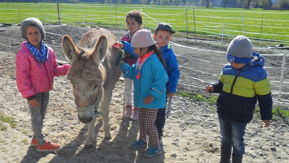 KIGA Augarten bei den Eseldamen