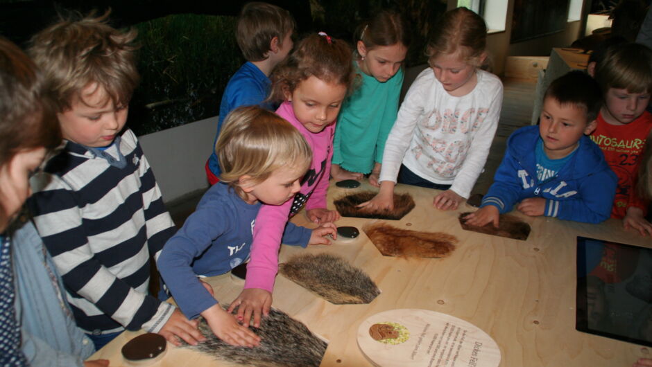 KIGA Wiesenrain: Der Bieber ist zurück in Vorarlberg KIGA Wiesenrain: Der Bieber ist zurück in Vorarlberg