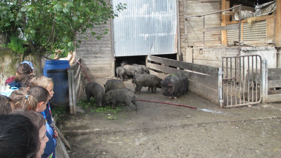 KIGA Augarten - Wir machen einen Ausflug KIGA Augarten - Wir machen einen Ausflug