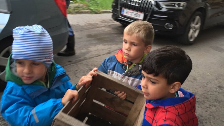 KIGA Wiesenrain: Mostsaison ist eröffnet! KIGA Wiesenrain: Mostsaison ist eröffnet!