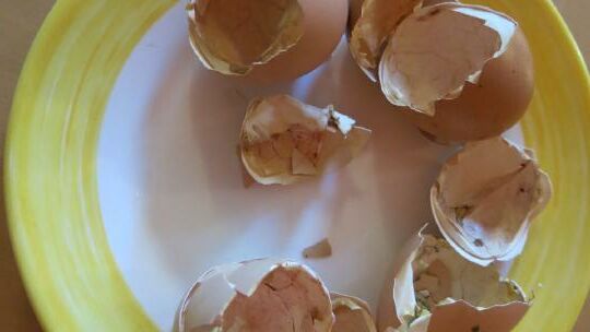 KIGA Am Schlatt: Bauernhofrallye KIGA Am Schlatt: Bauernhofrallye