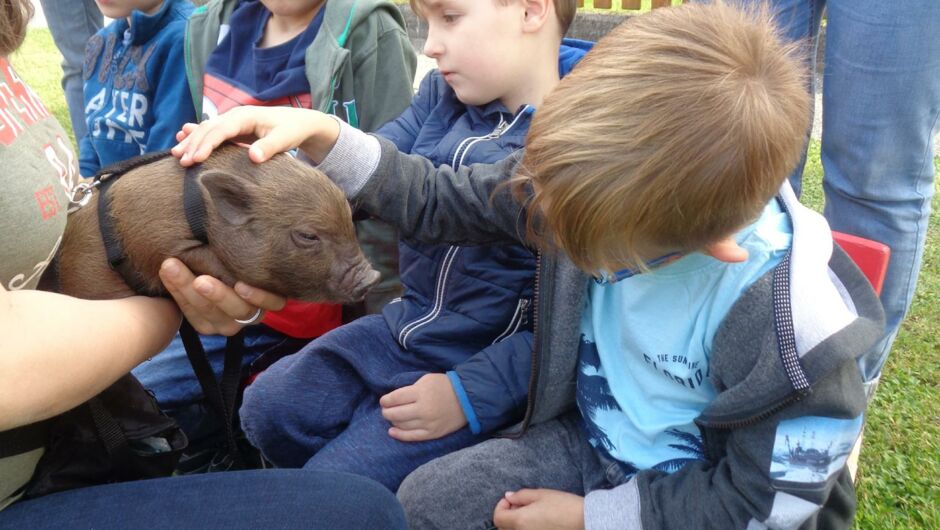 KIGA Augarten: Die kleine OJAD-Farm KIGA Augarten: Die kleine OJAD-Farm